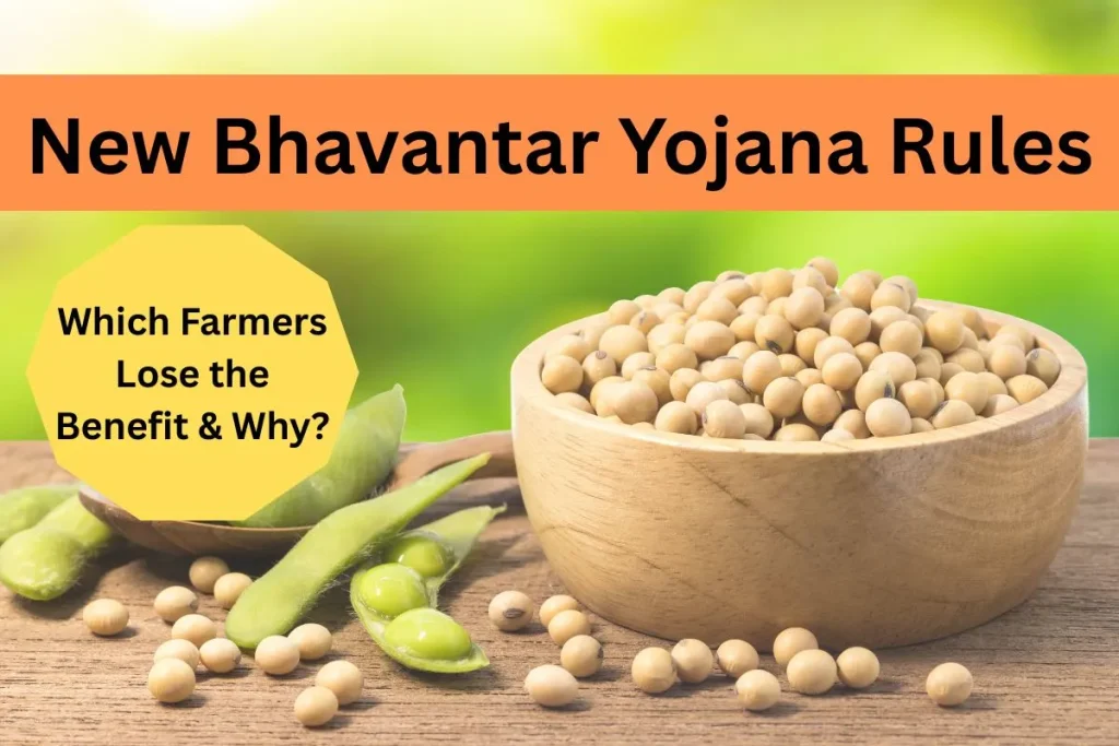 New Bhavantar Yojana Rules: Which Farmers Lose the Benefit & Why?