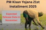 PM Kisan Yojana 21st Installment 2025 : Expected Release Date in November, Check Beneficiary List, Status & e-KYC at pmkisan.gov.in