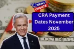 CRA Payment Dates November 2025: OAS, CPP, GIS, and Other Benefits Schedule