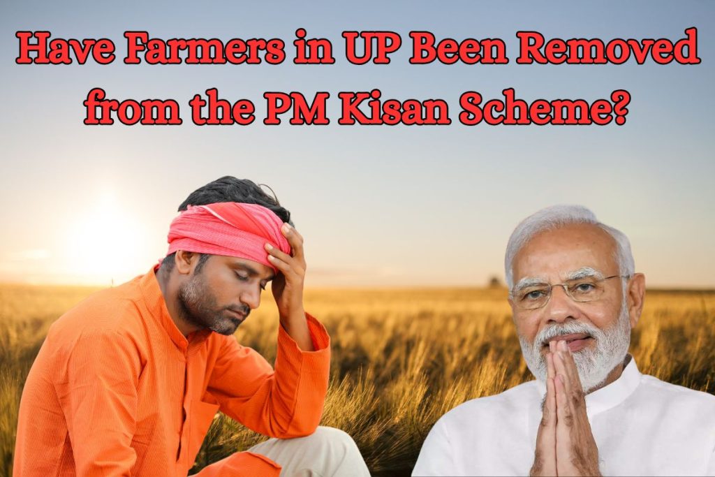 Have 1890373 Farmers in UP Been Removed from the PM Kisan Scheme? Here's the Truth