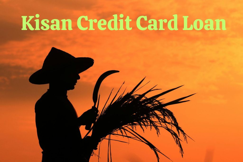 KCC Loan: What happens when a loan is settled in case of death or accident? Read the details