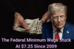 With The Federal Minimum Wage Stuck At $7.25 Since 2009, People Are Asking If Anyone Can Survive On It Anywhere In The Country